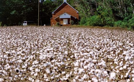 The Road Ahead: On Inheritance and Dignity in Alabama
