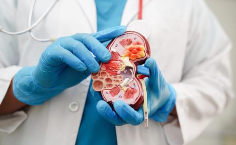 Silent damage: the early stages of kidney disease