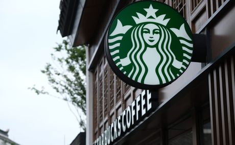 Refreshing Starbucks Grocery Drinks to Try Now