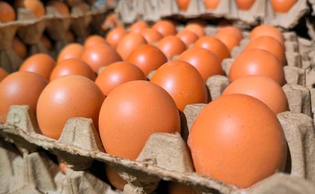 FDA links egg recall to illnesses spreading across 17 states