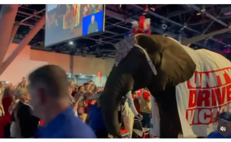 ‘Why the Hell…?’: Republicans Tried to ‘Demolish’ Democrats with an Elephant — Seconds Later the Whole Convention Stunt Blew Up in Their Faces