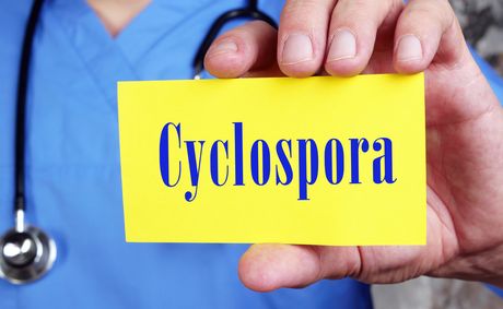 Taco Bell Pulls Fresh Ingredients as Human Feces-Linked Cyclospora Outbreak Sickens Thousands