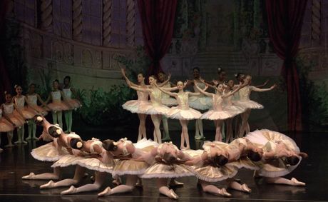 The Garden Lives On: Youth Russian Ballet Company Enchants Johannesburg with Le Jardin Animé