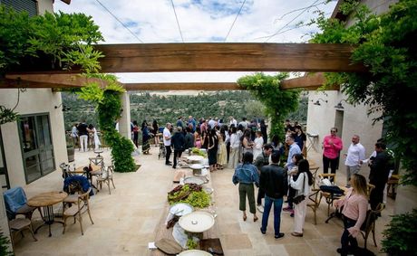 Discover Arabia Mountain Vineyard: Stonecrest’s Premier Escape for Wine, Wellness, and Culture