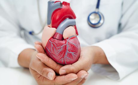 How your diet shapes heart disease outcomes over time